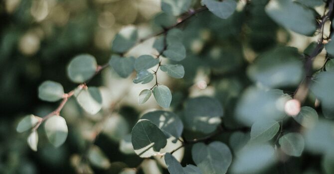 What Is Individual Therapy and How Can It Help?