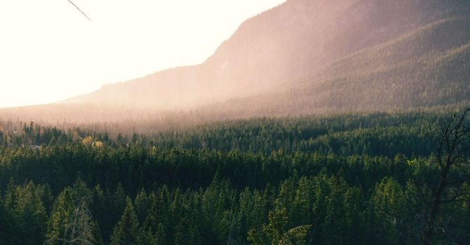 Understanding Depression: You Are Not Alone image