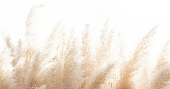 What Is a Refugee Hearing? image