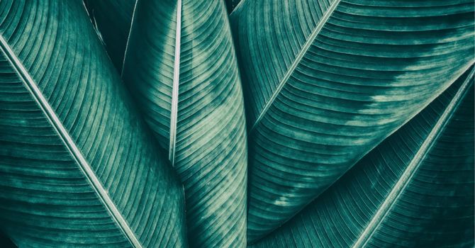 What Is Individual Therapy and How Can It Help? image