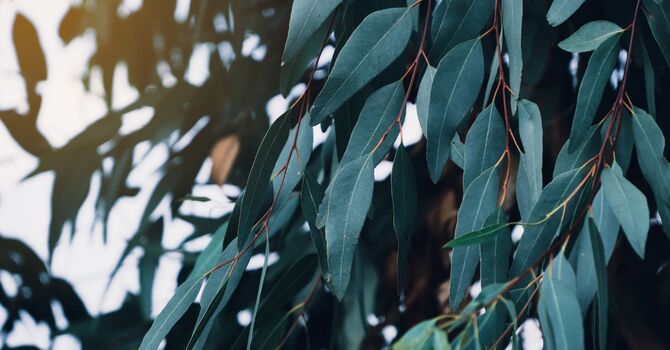 Understanding Depression: You Are Not Alone